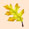very small yellow leaf
