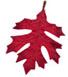 red_leaf_dn